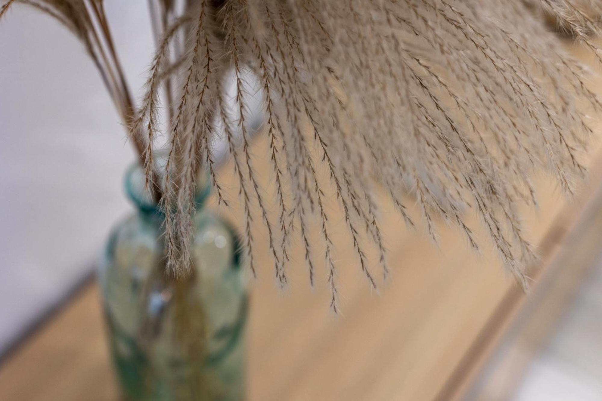 3 Bedroom Elegant & Cozy City Centre Granada Ngoại thất bức ảnh