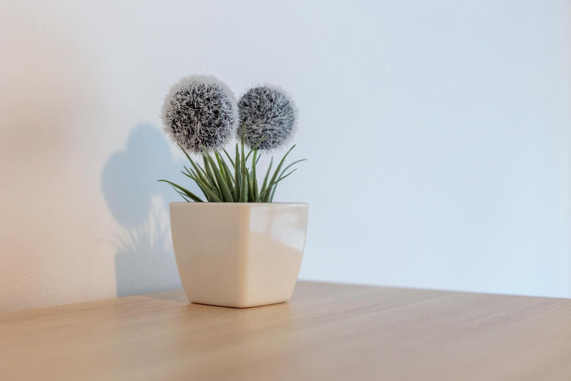 3 Bedroom Elegant & Cozy City Centre Granada Ngoại thất bức ảnh